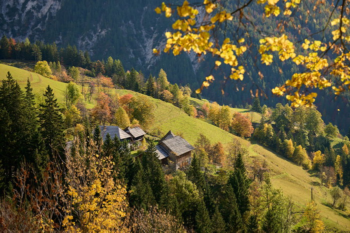 Koroška v toplih jesenskih barvah Koroška se je obarvala v čudovite jesenske odtenke – in pri kar 68 % gozdnatosti ji ta…