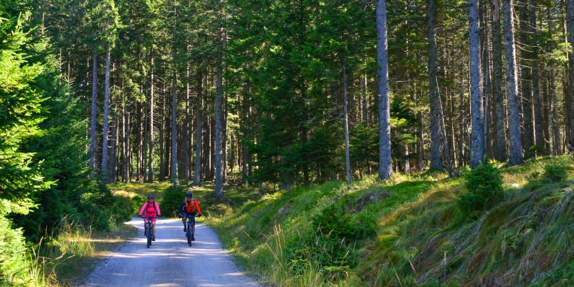 Pohorska kolesarska transverzala PT